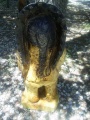 Cigar Indian Back